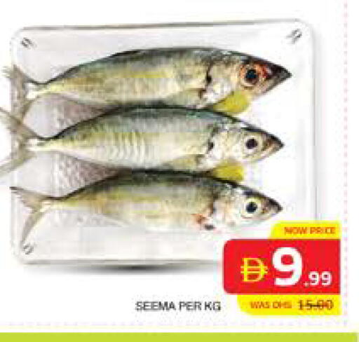 available at الامارات السبع سوبر ماركت in الإمارات العربية المتحدة , الامارات - أبو ظبي