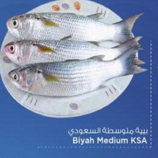 available at Mark & Save  in Qatar - Umm Salal