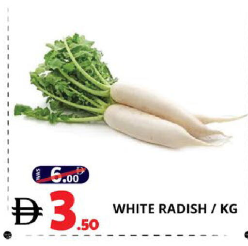Radish available at اكسبرس المدينة هايبرماركت in الإمارات العربية المتحدة , الامارات - أبو ظبي