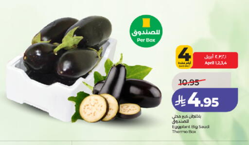 Eggplant from Saudi Arabia available at LULU Hypermarket in KSA, Saudi Arabia, Saudi - Ta'if
