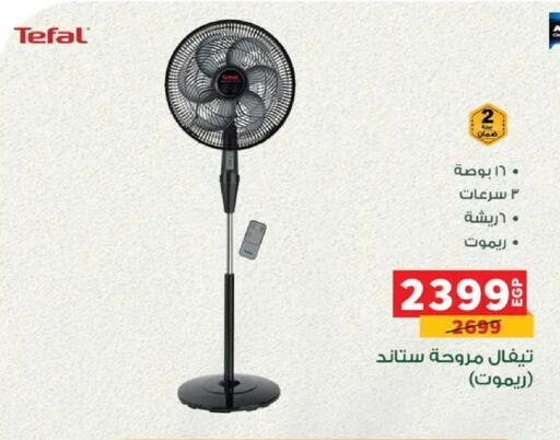 available at بنده in Egypt - القاهرة