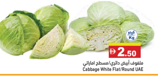 Cabbage available at أسواق رامز in الإمارات العربية المتحدة , الامارات - الشارقة / عجمان