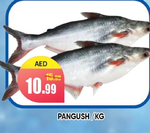 available at Leptis Hypermarket  in UAE - Ras al Khaimah