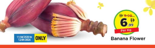 Banana available at مارك & سيف in الإمارات العربية المتحدة , الامارات - دبي