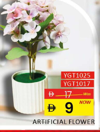 available at المدينة in الإمارات العربية المتحدة , الامارات - رَأْس ٱلْخَيْمَة