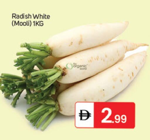 Radish available at سوق طلال in الإمارات العربية المتحدة , الامارات - دبي