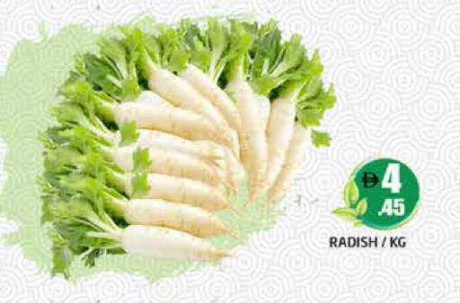 Radish available at هايبر ماركت باسونز in الإمارات العربية المتحدة , الامارات - دبي