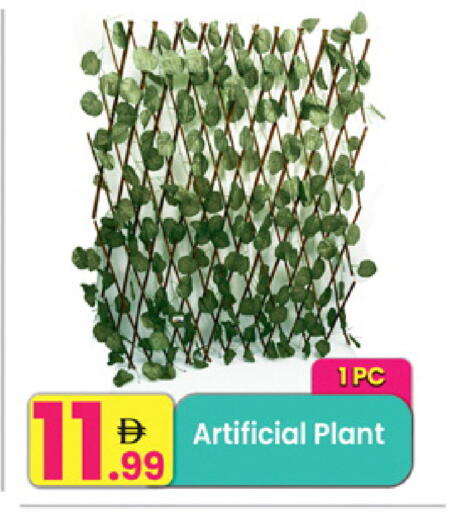 available at مركز كل يوم in الإمارات العربية المتحدة , الامارات - الشارقة / عجمان