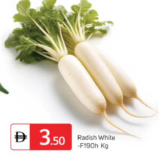 Radish available at سوق طلال in الإمارات العربية المتحدة , الامارات - دبي