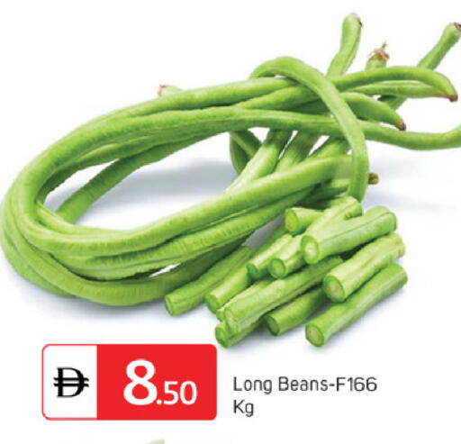 available at سوق طلال in الإمارات العربية المتحدة , الامارات - دبي