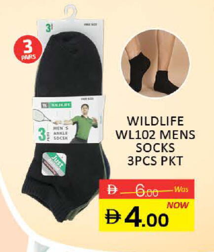 available at المدينة in الإمارات العربية المتحدة , الامارات - رَأْس ٱلْخَيْمَة