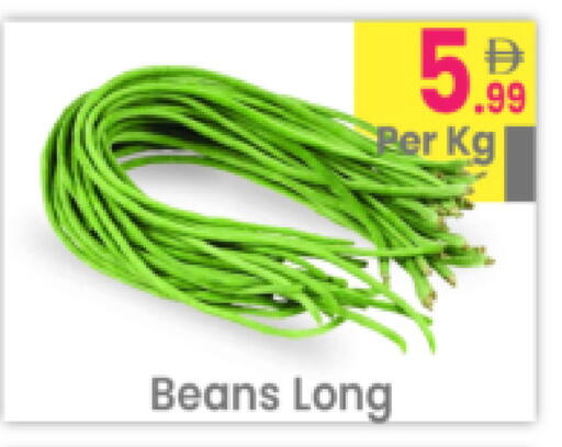 available at مركز كل يوم in الإمارات العربية المتحدة , الامارات - رَأْس ٱلْخَيْمَة