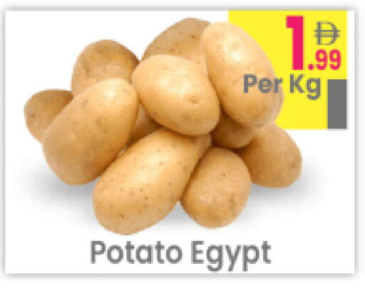 Potato from Egypt available at مركز كل يوم in الإمارات العربية المتحدة , الامارات - رَأْس ٱلْخَيْمَة