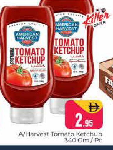 Tomato available at هايبر ماركت باسونز in الإمارات العربية المتحدة , الامارات - دبي