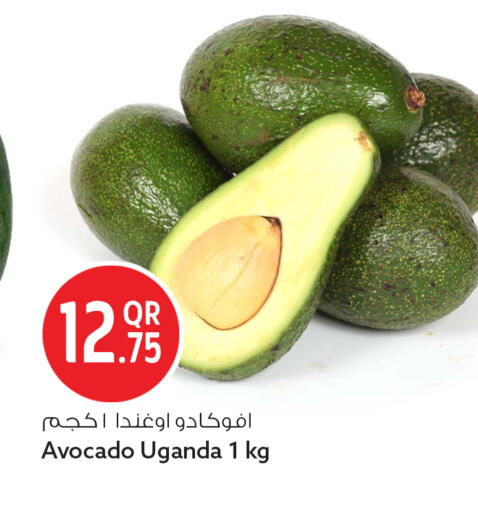 Avocado from Uganda available at Safari Hypermarket in Qatar - Doha