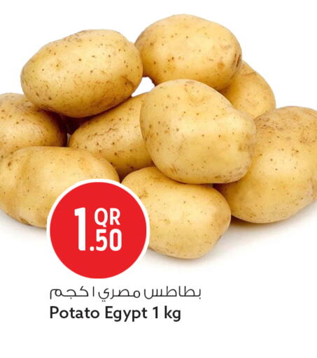 Potato from Egypt available at سفاري هايبر ماركت in قطر - أم صلال