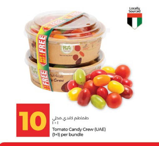 Tomato available at Lulu Hypermarket in UAE - Abu Dhabi
