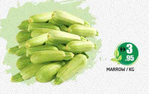Marrow available at هايبر ماركت باسونز in الإمارات العربية المتحدة , الامارات - دبي