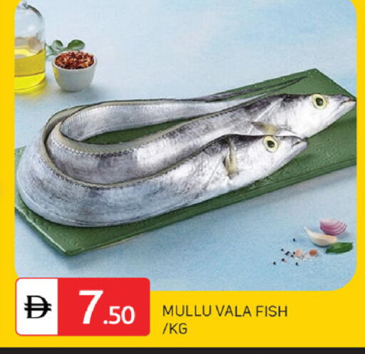 available at سوق طلال in الإمارات العربية المتحدة , الامارات - دبي