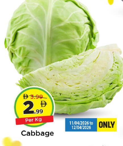 Cabbage available at مارك & سيف in الإمارات العربية المتحدة , الامارات - دبي