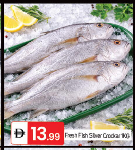 available at سوق طلال in الإمارات العربية المتحدة , الامارات - دبي