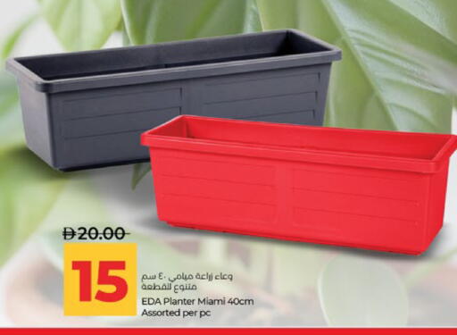 available at Lulu Hypermarket in UAE - Abu Dhabi