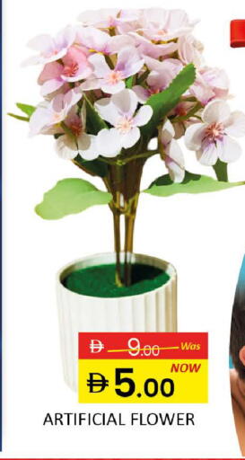 available at المدينة in الإمارات العربية المتحدة , الامارات - رَأْس ٱلْخَيْمَة