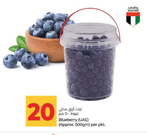 Blueberry BlueBerry available at لولو هايبرماركت in الإمارات العربية المتحدة , الامارات - أبو ظبي