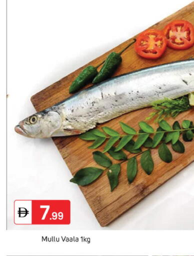 available at سوق طلال in الإمارات العربية المتحدة , الامارات - دبي