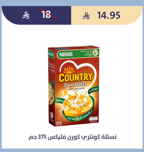 available at Qout Market in KSA, Saudi Arabia, Saudi - Ta'if