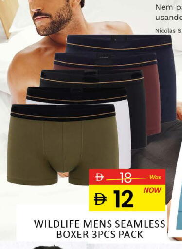 available at المدينة in الإمارات العربية المتحدة , الامارات - رَأْس ٱلْخَيْمَة