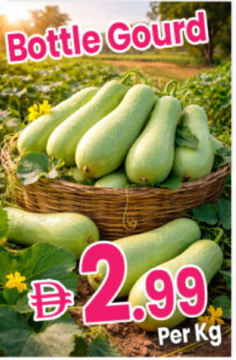 available at مركز كل يوم in الإمارات العربية المتحدة , الامارات - رَأْس ٱلْخَيْمَة