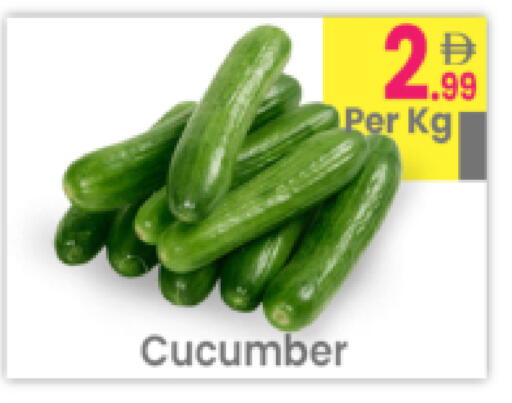 Cucumber available at مركز كل يوم in الإمارات العربية المتحدة , الامارات - رَأْس ٱلْخَيْمَة