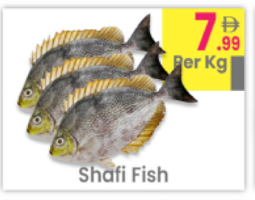 available at مركز كل يوم in الإمارات العربية المتحدة , الامارات - رَأْس ٱلْخَيْمَة