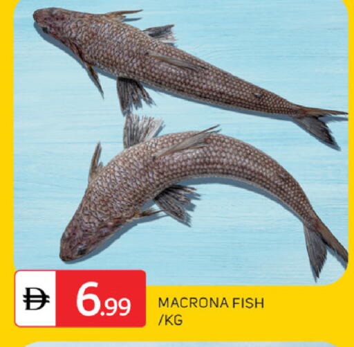 available at سوق طلال in الإمارات العربية المتحدة , الامارات - دبي