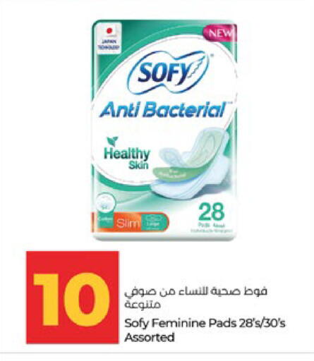 available at لولو هايبرماركت in الإمارات العربية المتحدة , الامارات - أبو ظبي