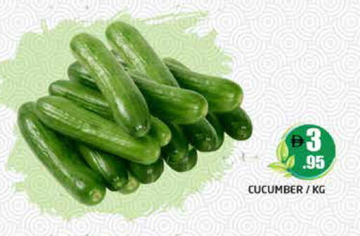 Cucumber available at هايبر ماركت باسونز in الإمارات العربية المتحدة , الامارات - دبي