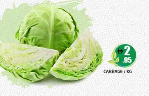 Cabbage available at هايبر ماركت باسونز in الإمارات العربية المتحدة , الامارات - دبي