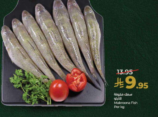 available at لولو هايبرماركت in مملكة العربية السعودية, السعودية, سعودية - مكة المكرمة