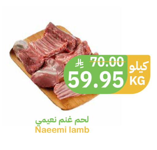 available at Qateba Markets in KSA, Saudi Arabia, Saudi - Buraidah
