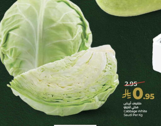 Cabbage from Saudi Arabia available at LULU Hypermarket in KSA, Saudi Arabia, Saudi - Khamis Mushait