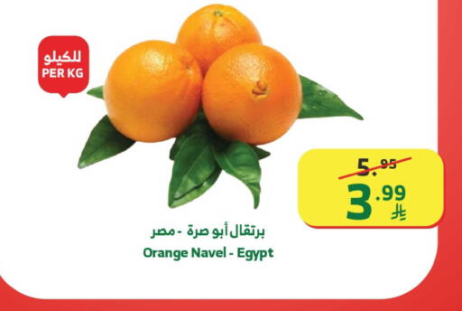Orange from Egypt available at Al Raya in KSA, Saudi Arabia, Saudi - Mecca