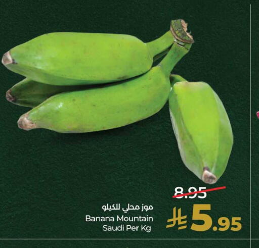 Banana from Saudi Arabia available at LULU Hypermarket in KSA, Saudi Arabia, Saudi - Al Khobar