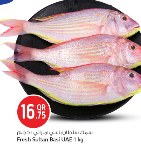 available at سفاري هايبر ماركت in قطر - الريان