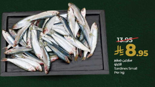 available at لولو هايبرماركت in مملكة العربية السعودية, السعودية, سعودية - مكة المكرمة