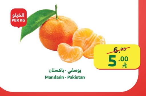 Mandarin from Pakistan available at Al Raya in KSA, Saudi Arabia, Saudi - Mecca