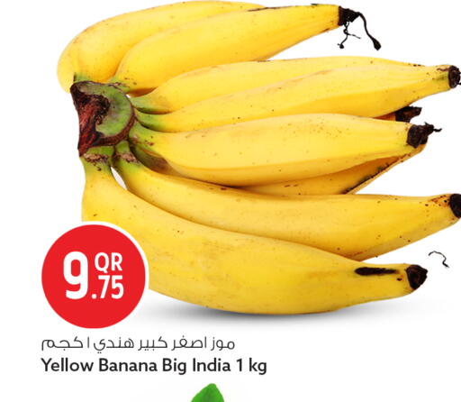 Banana from India available at سفاري هايبر ماركت in قطر - الريان