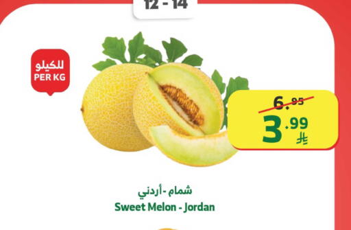 Melon from Jordan available at Al Raya in KSA, Saudi Arabia, Saudi - Mecca