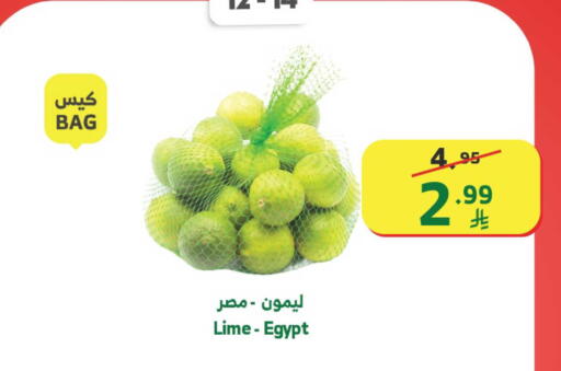 from Egypt available at Al Raya in KSA, Saudi Arabia, Saudi - Mecca