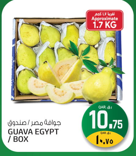 Guava from Egypt available at Saudia Hypermarket in Qatar - Al Shamal